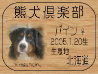 �I�[�i�[�́A�p�C�p�p����ł���